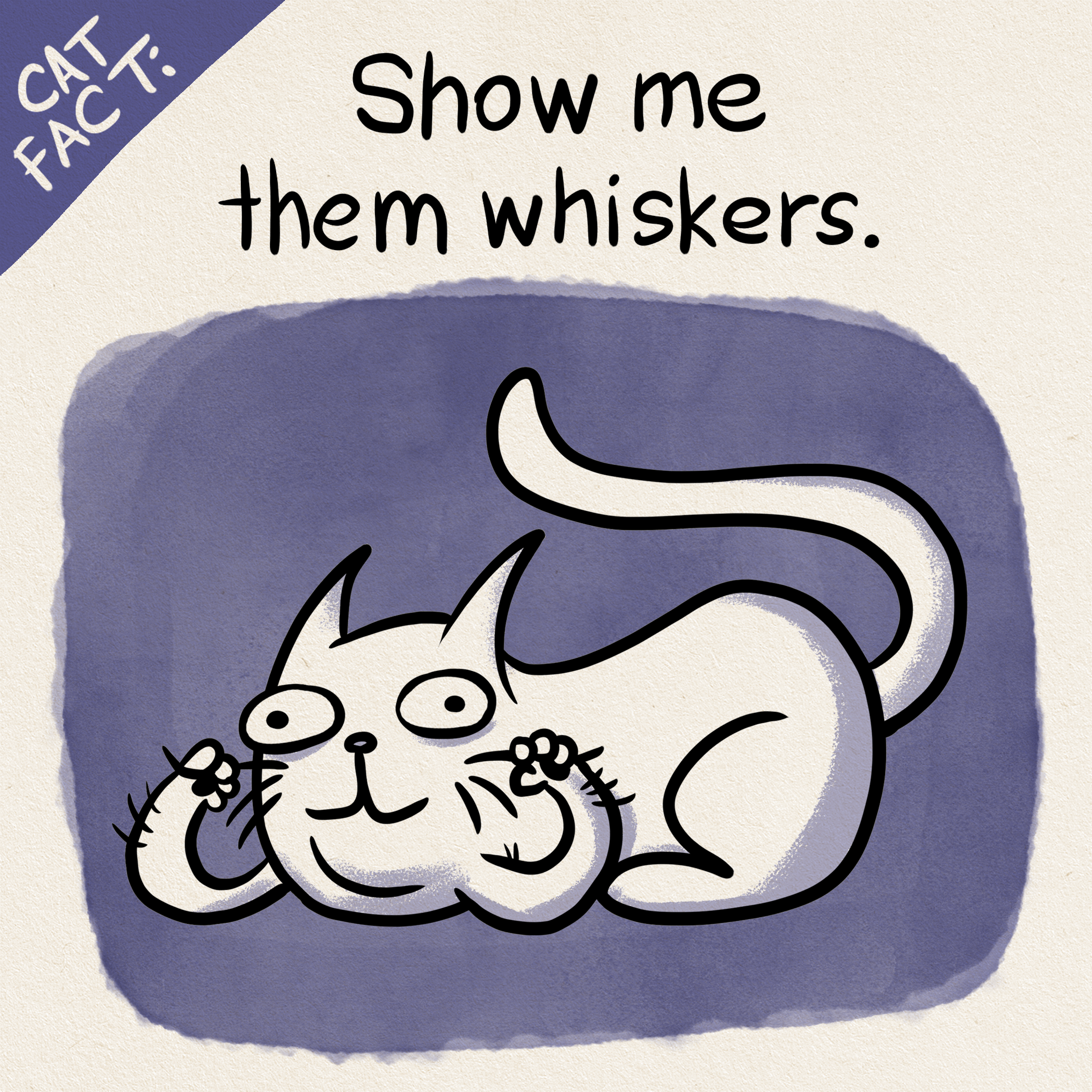 CAT_FACTS_WHISKERS_01.png?v=