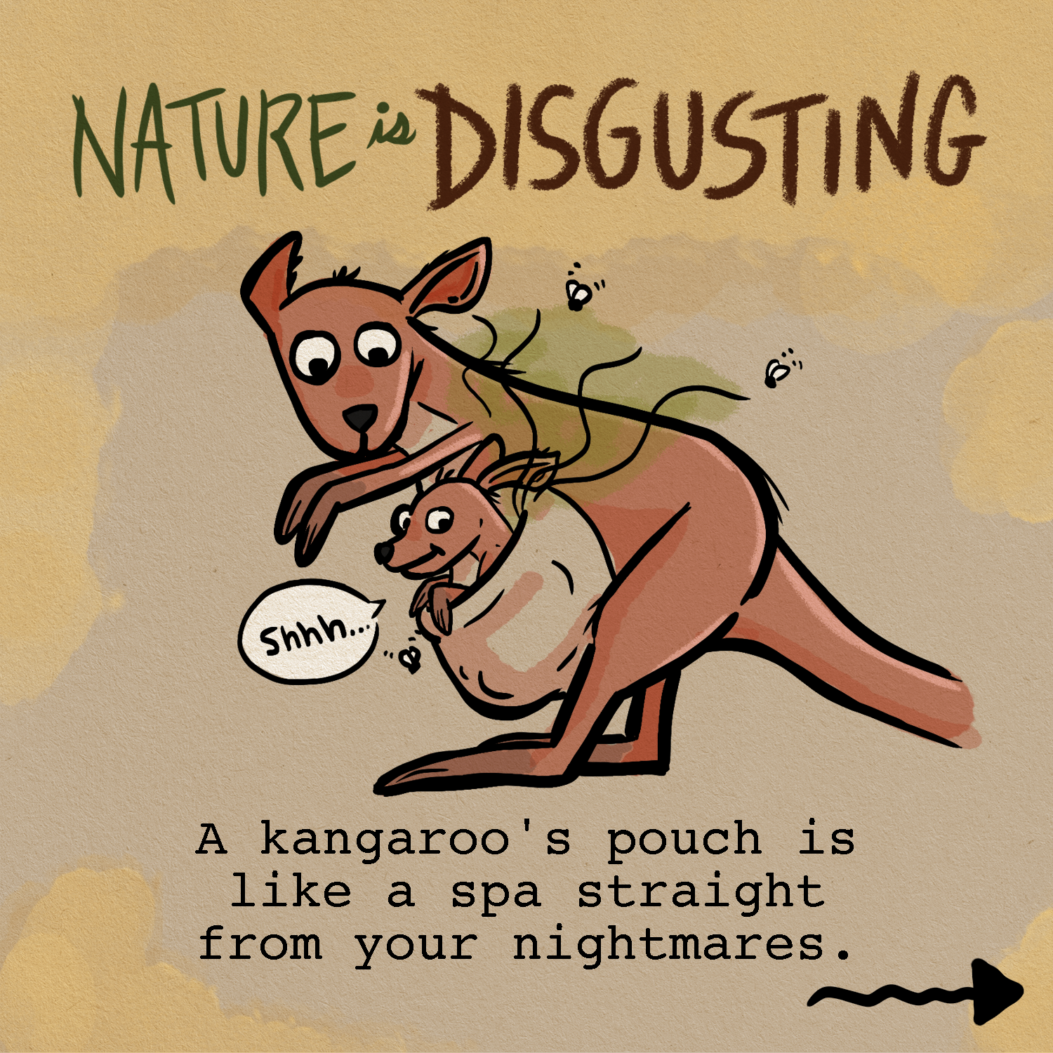 Nature is Disgusting: A kangaroo's pouch is like a spa straight from your nightmares.