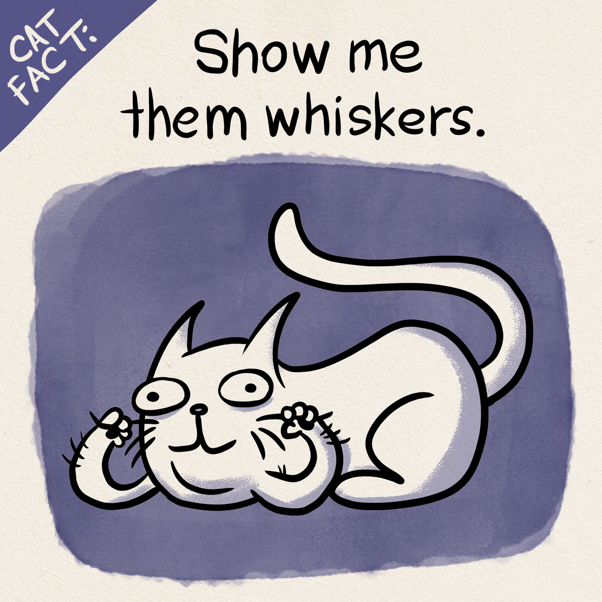 Cat Fact: Cats Have 2 Sets of Whiskers