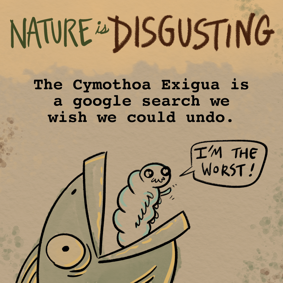 Nature Is Disgusting: Cymothoa Exigua