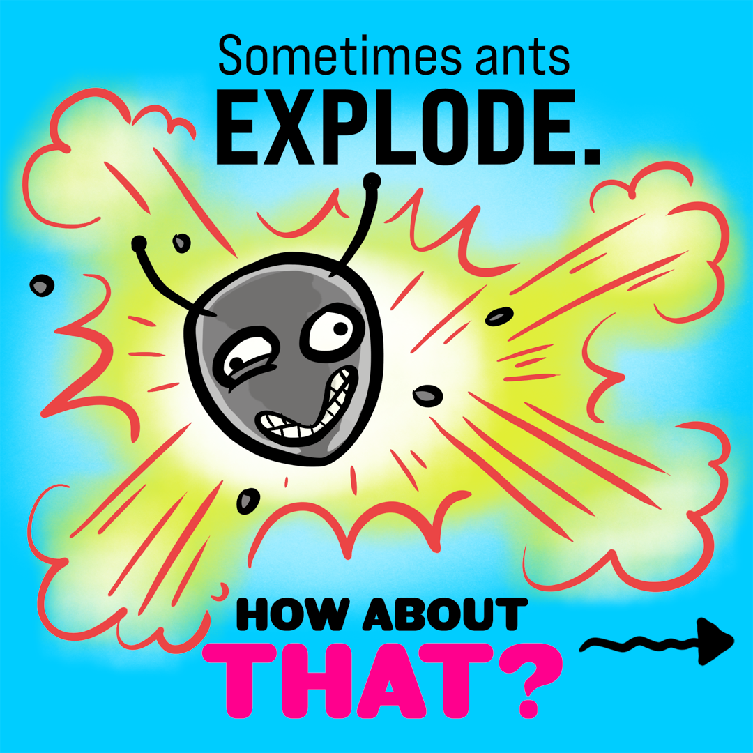 How About That? Exploding Ants