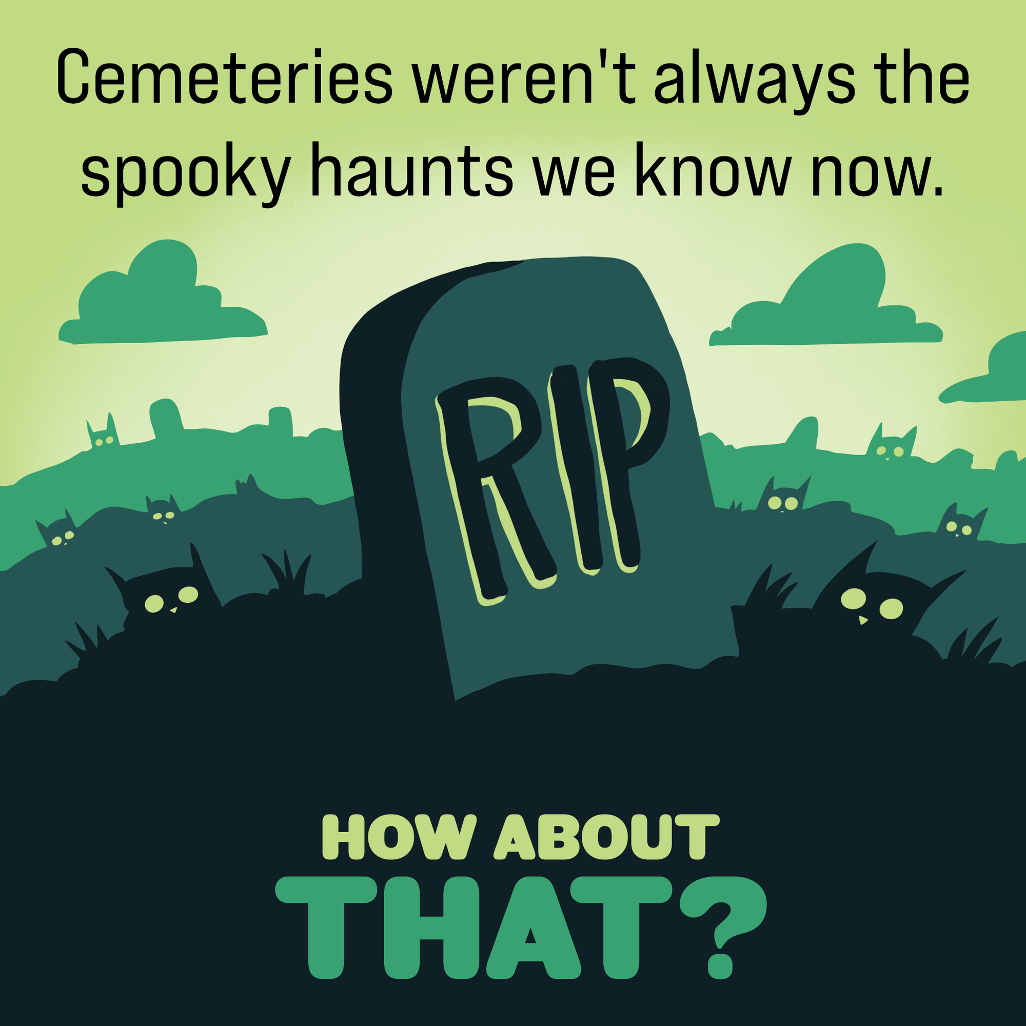 Cemetries Exploding What's in Hoarder Squirrel's Cheeks?