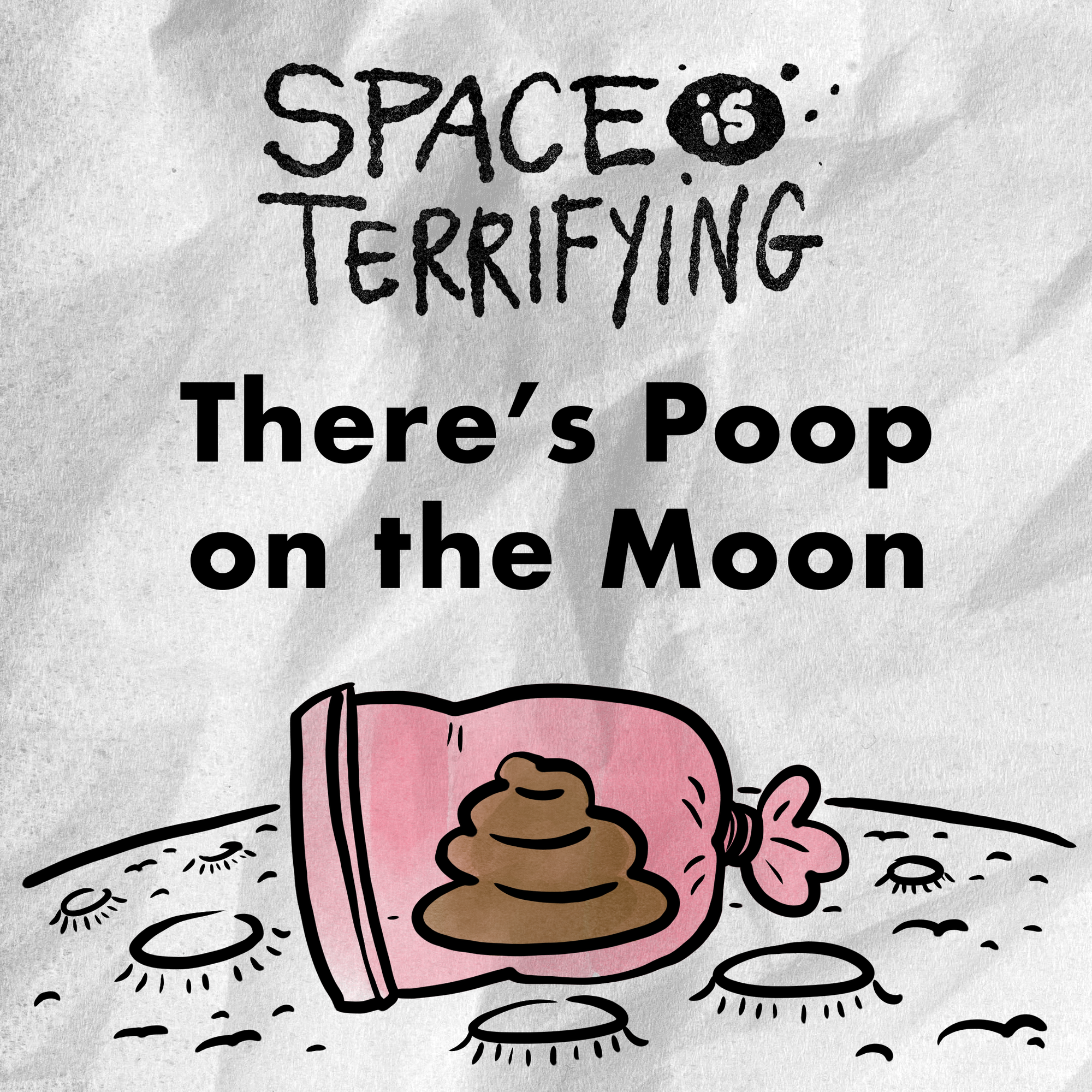 There's Poop On The Moon