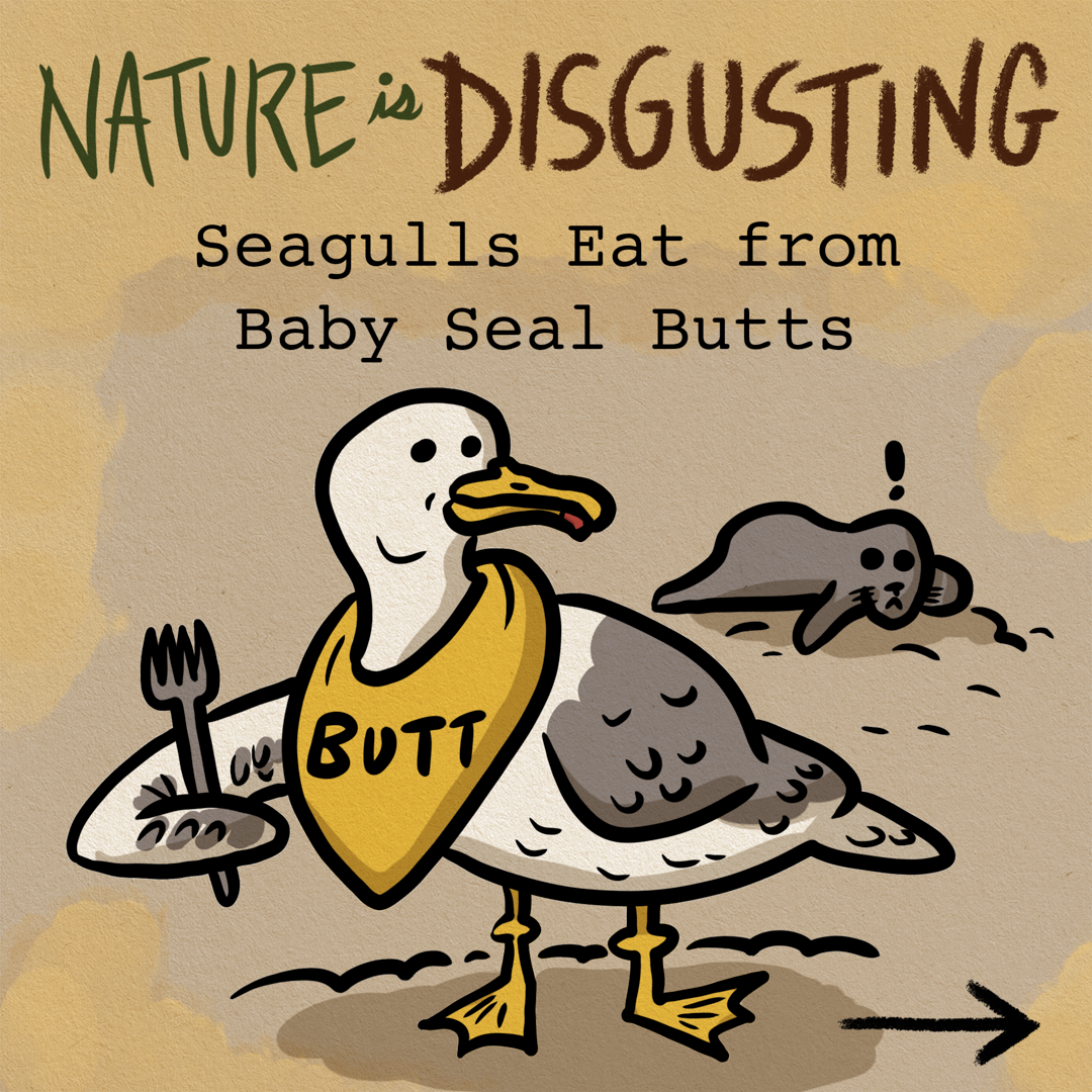 Nature is Disgusting: Seagulls Eat from Baby Seal Butts