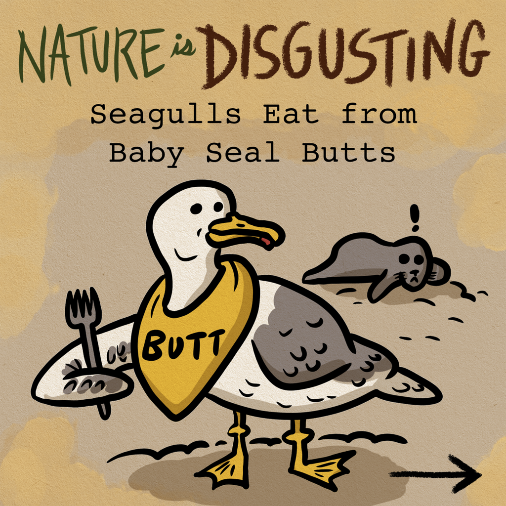 Evil Seagull Memes Memes Imgflip