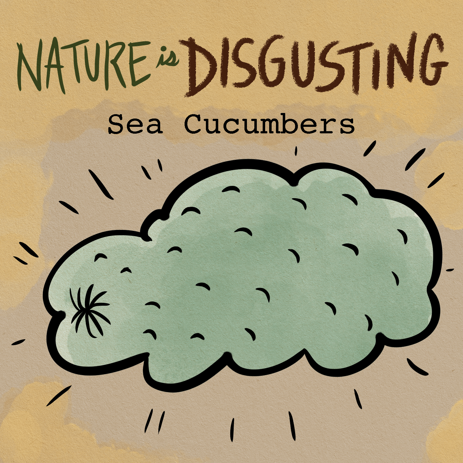 Nature is Disgusting - Sea Cucumbers