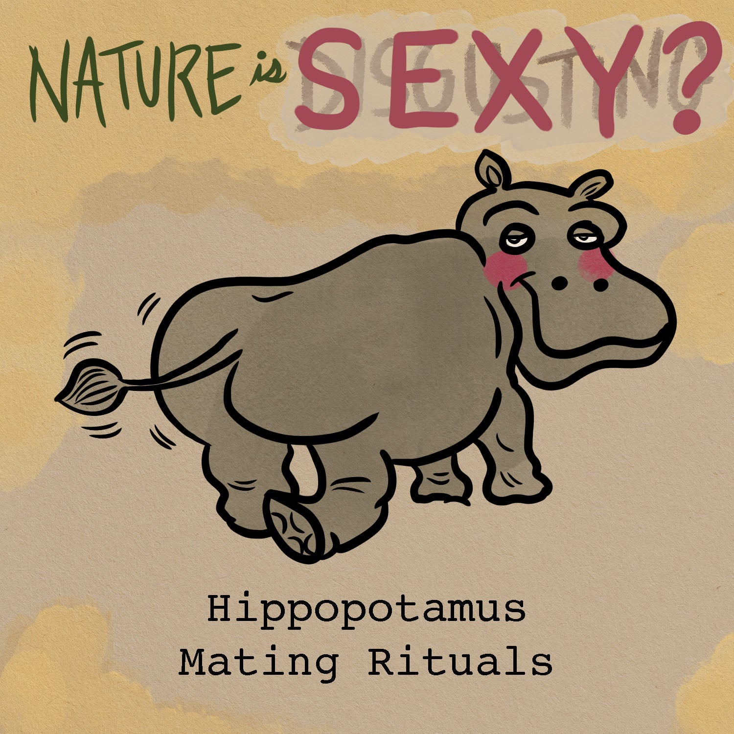 The Mating Rituals of Hippos