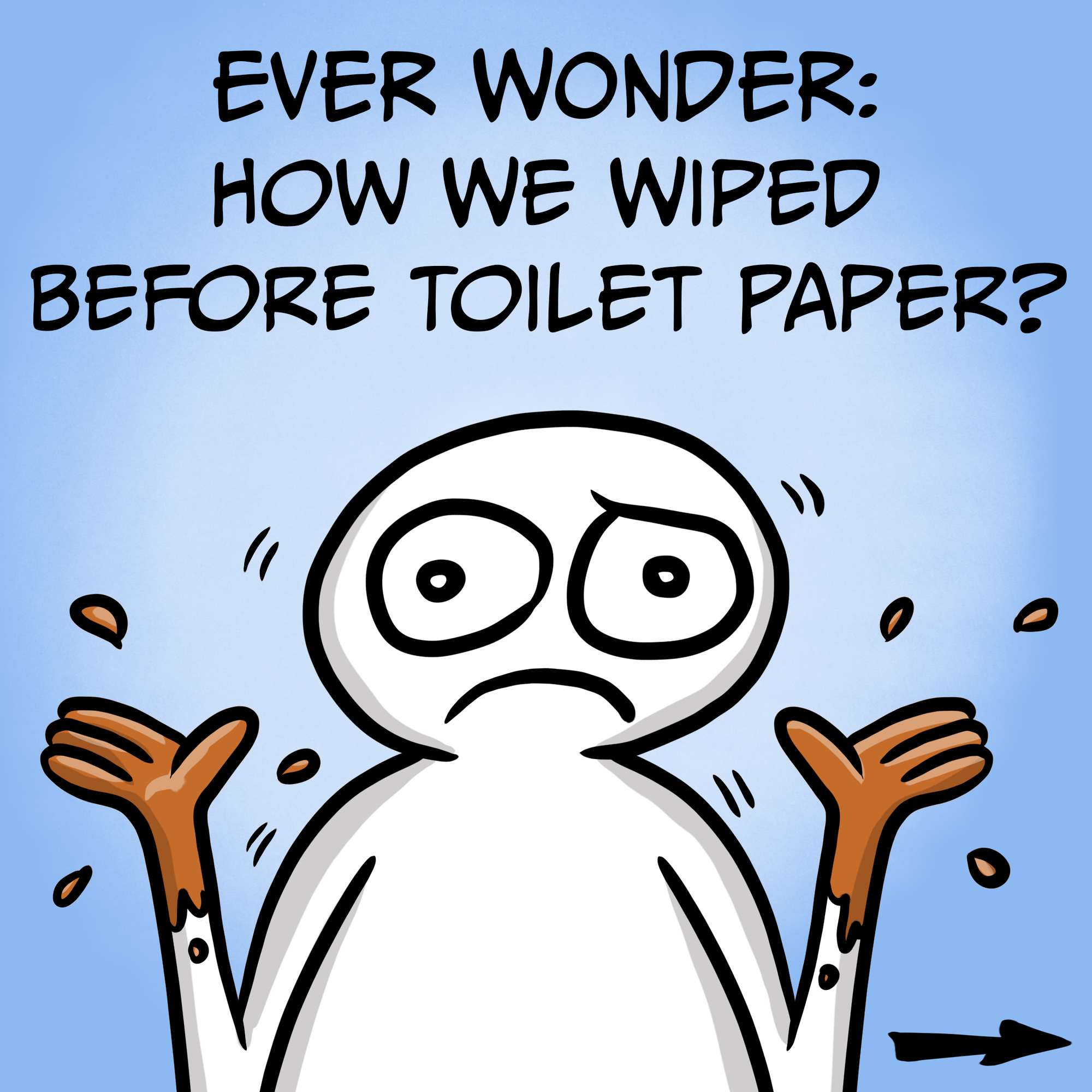 Ever Wonder? What We Wiped With Before Toilet Paper?