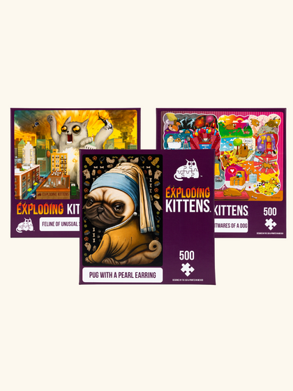How to Play Exploding Kittens