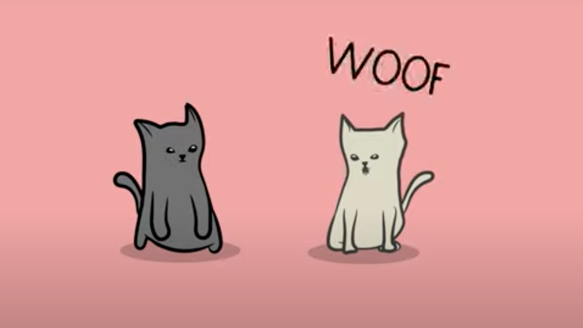 Barking Kittens